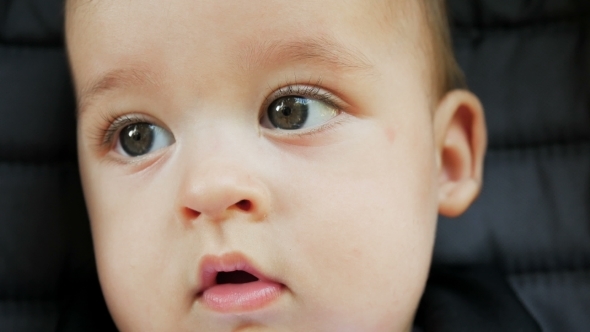 Face Tanned Baby Boy Six Months Sitting in a Stroller