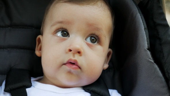 Face Tanned Baby Boy Six Months Sitting in a Stroller