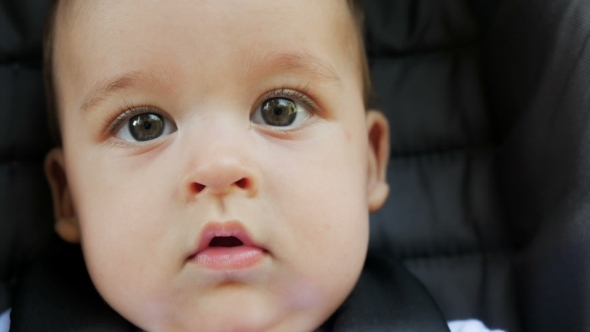 Baby Boy Six Months Sitting in a Stroller