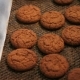 Cookies are Moving on the Conveyor Line - VideoHive Item for Sale