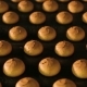 Fresh Biscuits Made in the Factory - VideoHive Item for Sale