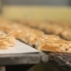 Bars of Nougat with Peanuts on the Production Line - VideoHive Item for Sale