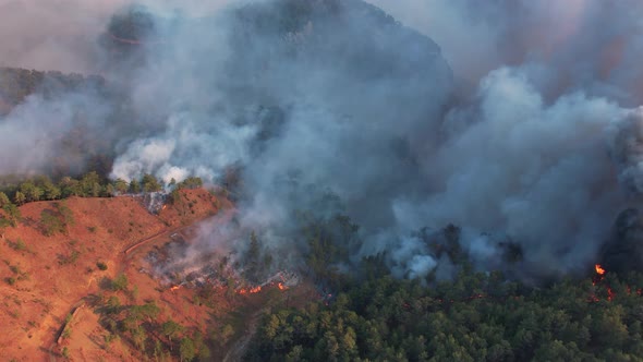 Aerial View of Forest Fire