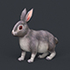 Game Ready Rabbit - 3DOcean Item for Sale