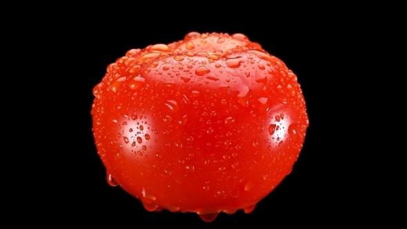 Red Tomato with Water Drops, Slowly Rotating on Black Background
