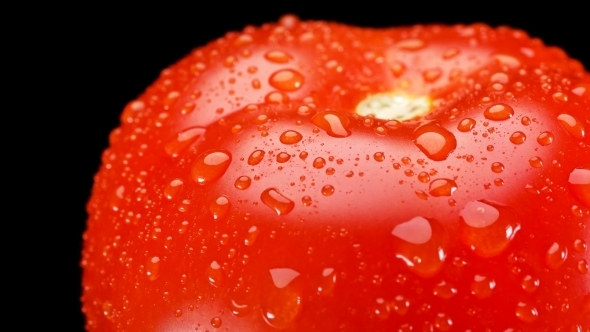 Red Tomato with Water Drops, Slowly Rotating on Black Background