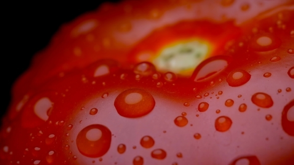 Red Tomato with Water Drops, Slowly Rotating on Black Background,