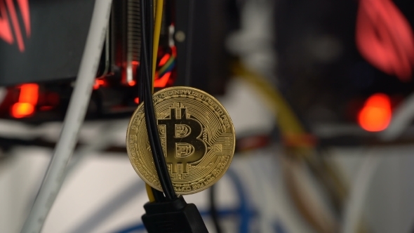 Bitcoin Against the Background of Cables in the Rack for Crypto-currency Mining