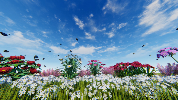 Flowers and Butterflies alt