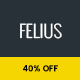 Felius - Responsive Multipurpose Template - ThemeForest Item for Sale