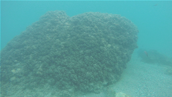 Big Stone Underwater