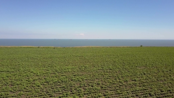 Flight Over the Green Field with a Flight To the Sea