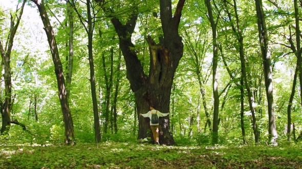 Girl Hugs the Big Tree in the Forest