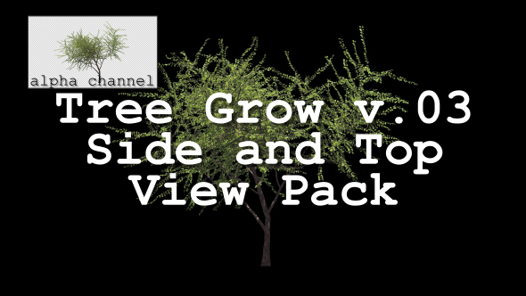 Tree Grow v. 03 Side and Top View Pack alt