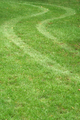 Tire track in the grass - PhotoDune Item for Sale