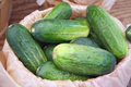 Cucumbers - PhotoDune Item for Sale