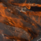 Forest Brush Fire Burning - VideoHive Item for Sale