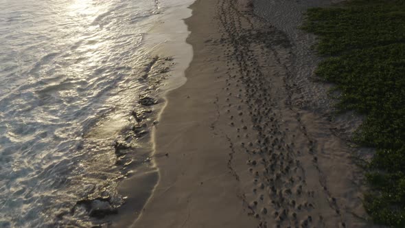 Aerial view of Grande Anse beach at sunset, Petite Ile, Reunion.