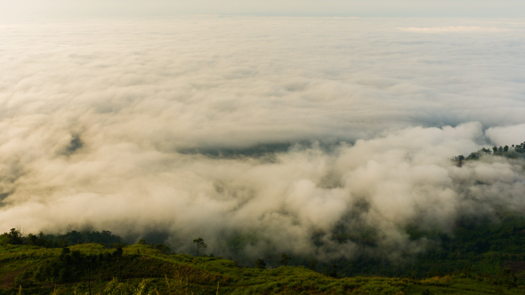 Fog in the Valley