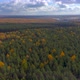 Drone video to panorama of the forest - VideoHive Item for Sale