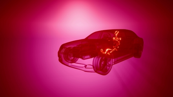 Driver with Visible Bones alt