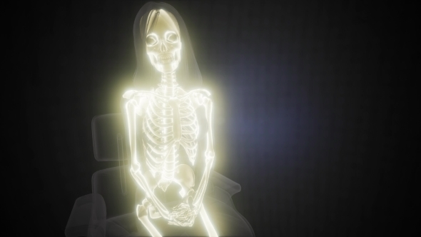 Human Bones Radiographic Scan alt