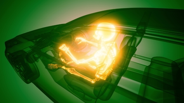 Driver with Visible Bones alt