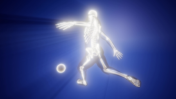 Soccer Game Player alt