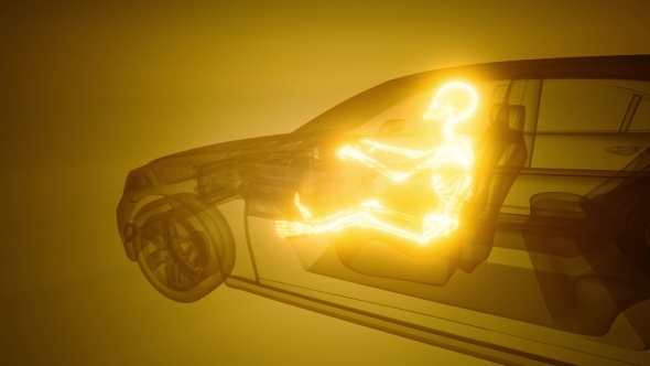 Driver with Visible Bones alt