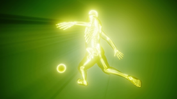 Soccer Game Player alt