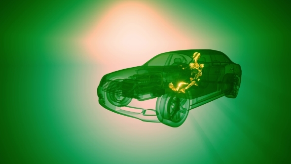 Driver with Visible Bones alt