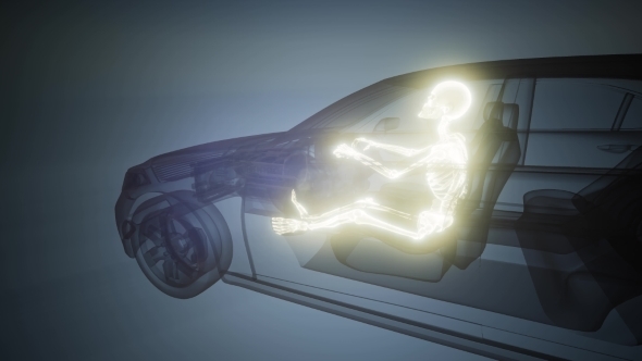 Driver with Visible Bones alt