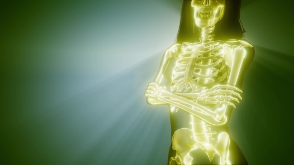 Human Bones Radiographic Scan alt