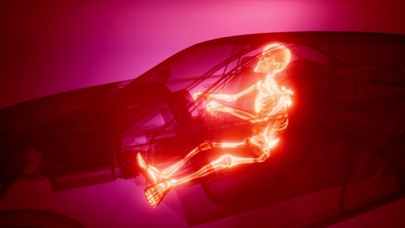 Driver with Visible Bones alt