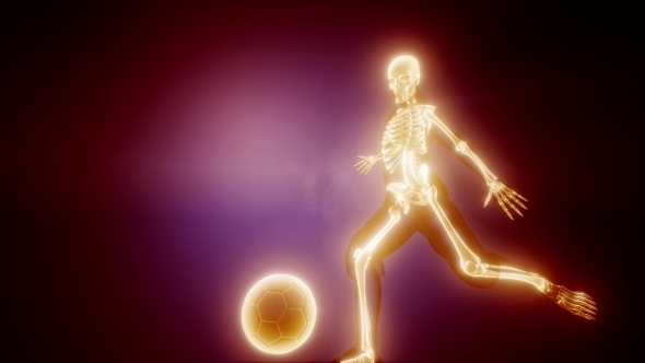 Soccer Game Player alt