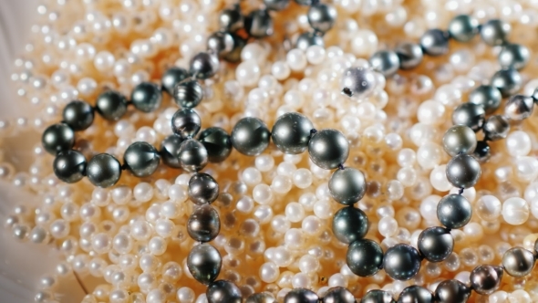 Background of Natural Pearls. Slowly Rotates