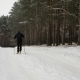 Man Skiing in the Winter Park - VideoHive Item for Sale