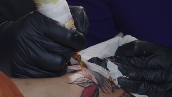 Professional Master Is Painting Tattoo with Red Ink, Fills Drawing with Color. Works in Black Latex