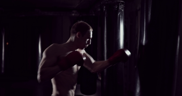 Boxer Punching Bag Sequence Strong Athlete Hits a Punching Bag Kickboxing Men Training Punchin