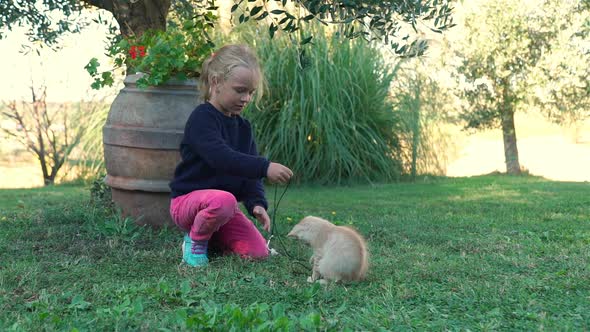 Little Girl Playing with Ginger Kitten Outdoors