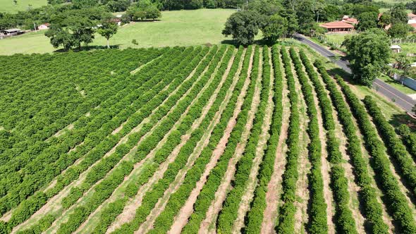 Farming landscape at countryside rural scenery.