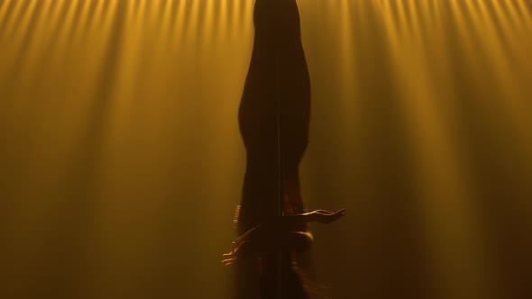 Young Dancer Sports Pole Dance Performs Tricks on Pole