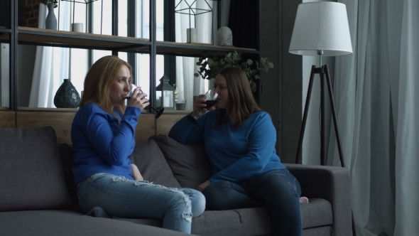 Chatting Women Toasting Glasses of Red Wine at Home