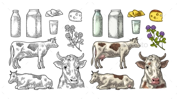 Farm Milk Set