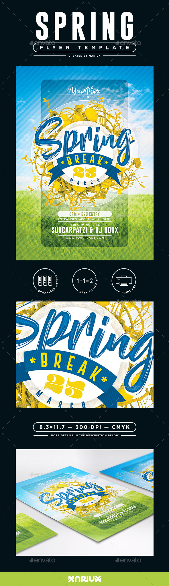 Spring Break Flyer/Poster