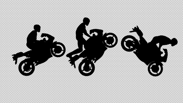 Motorcycle Stunt Rider alt