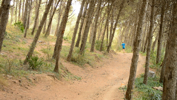 Runner Running in a Pine Forest
