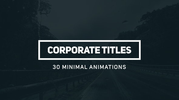 Corporate Titles