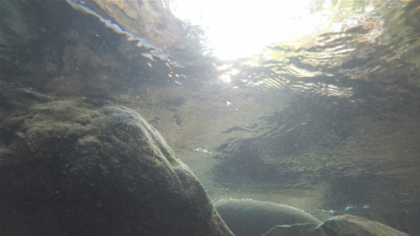 Inside of a River