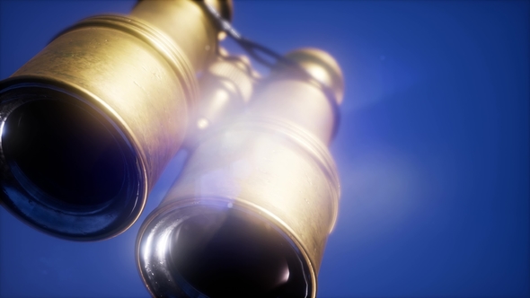 Flying Old Military Binoculars alt